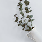 Charger l&#39;image dans la galerie, Bouquet Eucalyptus stabilisé (3 tiges)
