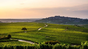 Domaine Bonnard