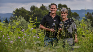 Domaine Solence