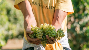 Quinta da Lixa