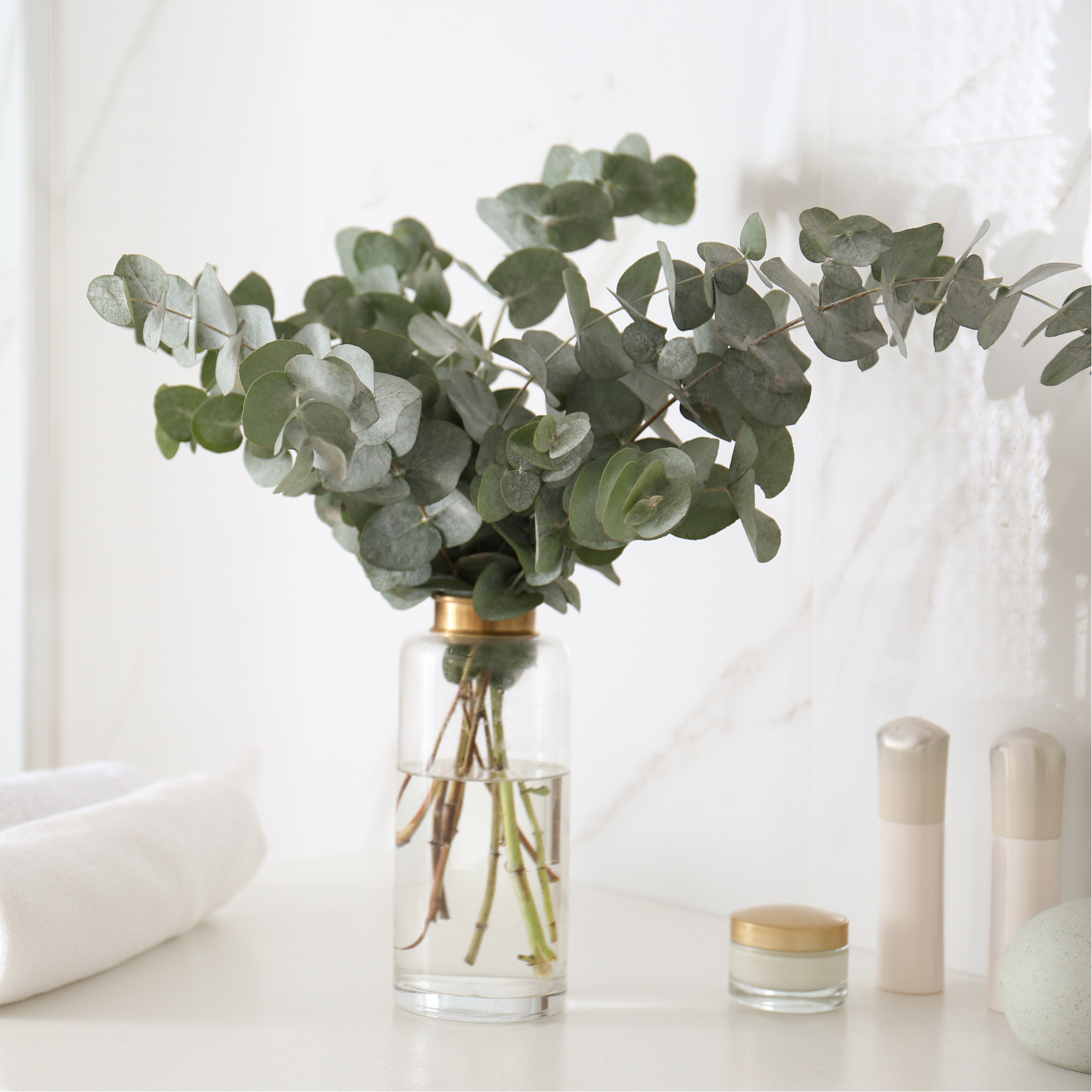 Bouquet Eucalyptus frais pour la douche (5 tiges)