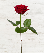 Charger l&#39;image dans la galerie, Bouquet de fleurs - Roses Rouges Saint-Valentin
