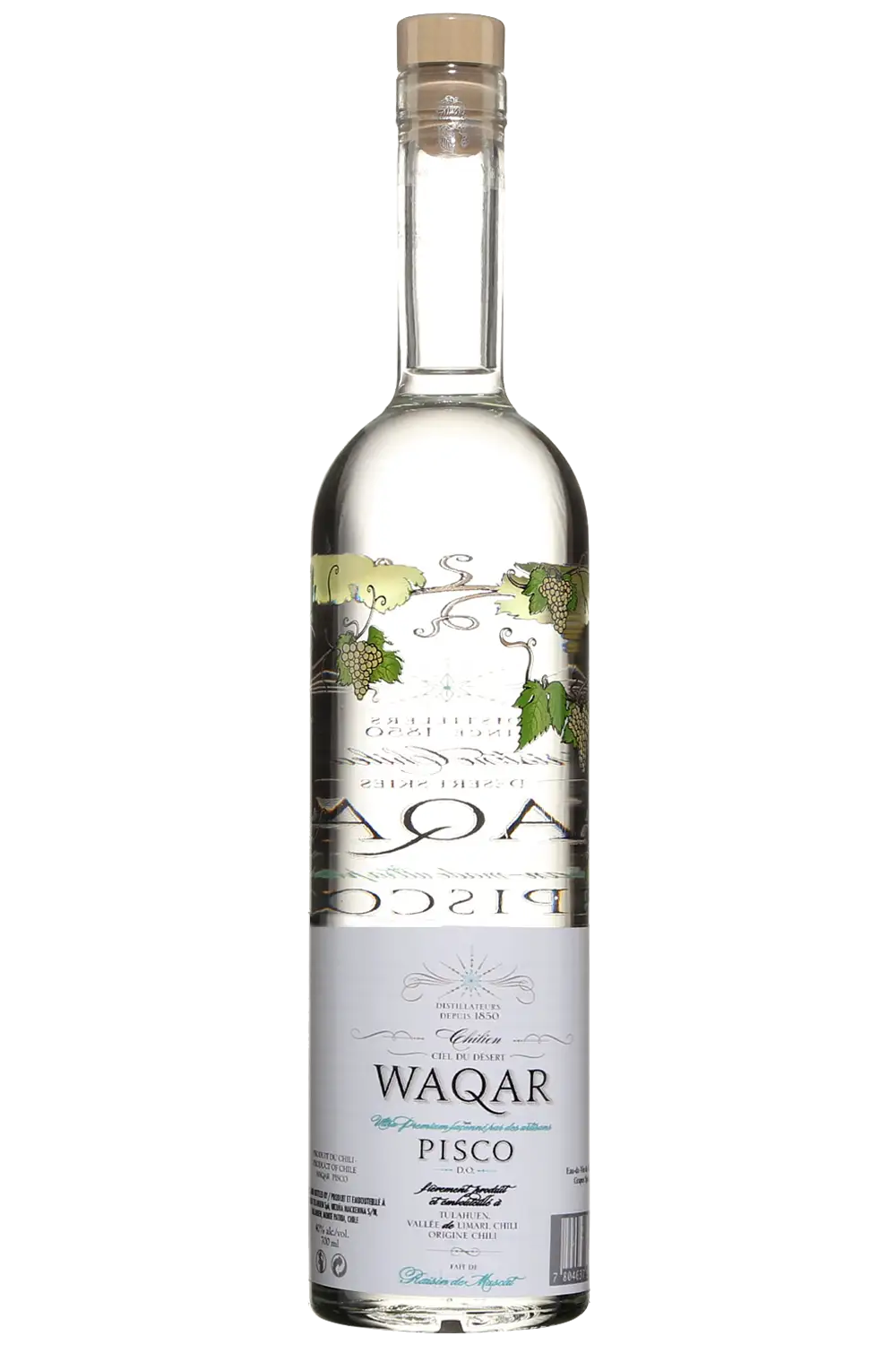 Pisco Waqar Ciel du Désert