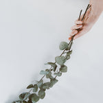 Charger l&#39;image dans la galerie, Bouquet Eucalyptus stabilisé (3 tiges)
