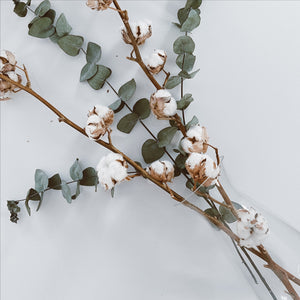 Bouquet d'eucalyptus stabilisé (3 tiges)